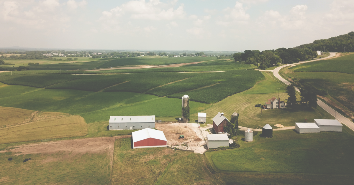 Formula 101 Baby s Only formula-101-baby-s-only